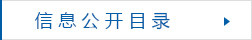 信息公开目录